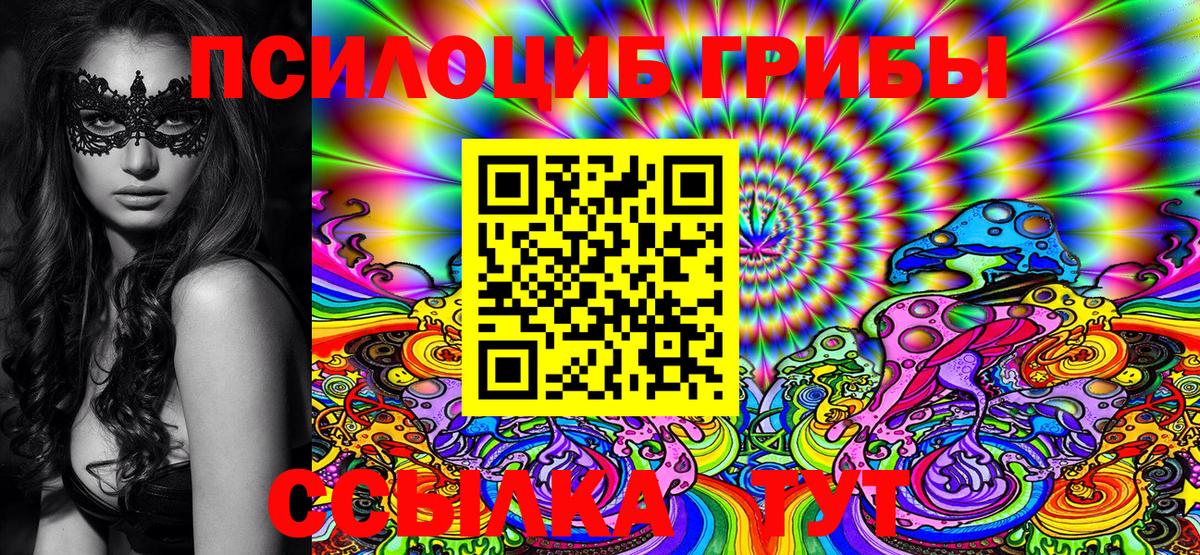 Магадан  купить   Вход с VPN  Галлюциногенные грибы Cubensis 