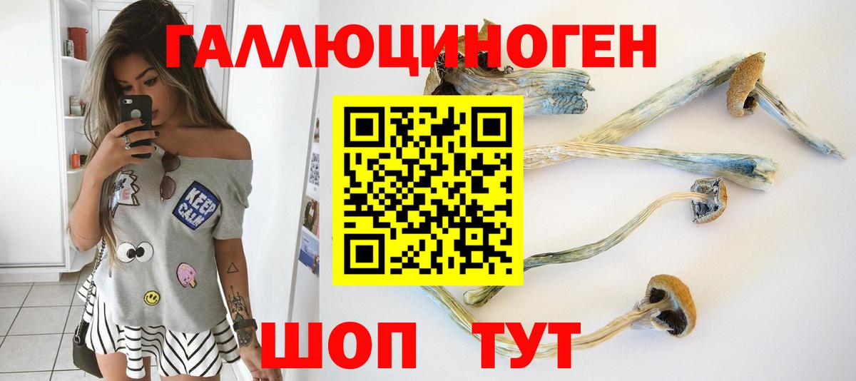 Псилоцибиновые грибы GOLDEN TEACHER Магадан